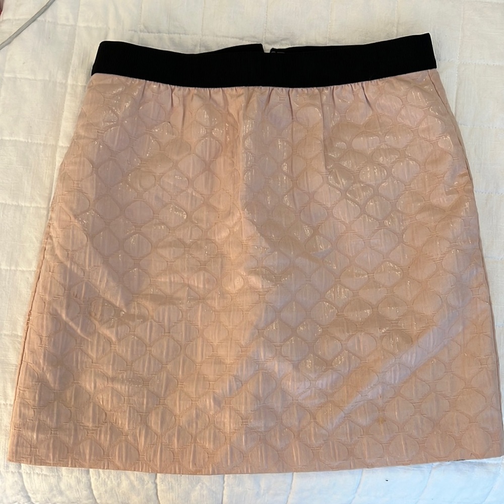 Ann Taylor Loft Akirt